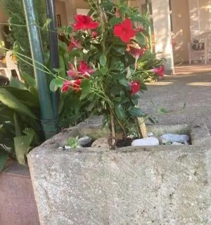 Appartement Klara - Garden View Olib