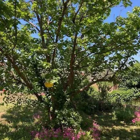 Klara - Garden View * Olib