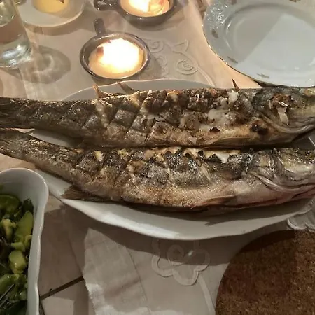 Apartament Klara - Garden View Olib